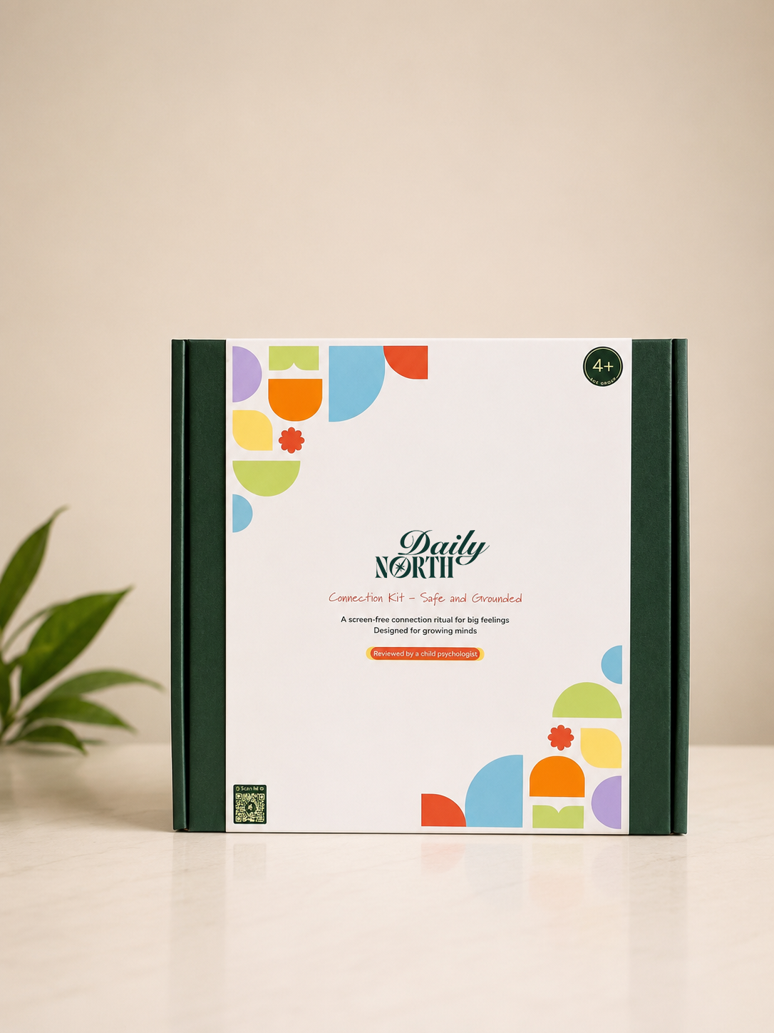 Daily North Connection Kit - Safe & Grounded